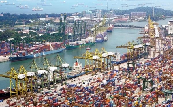 MYPE: Ventajas de comercializar productos a través de un TLC